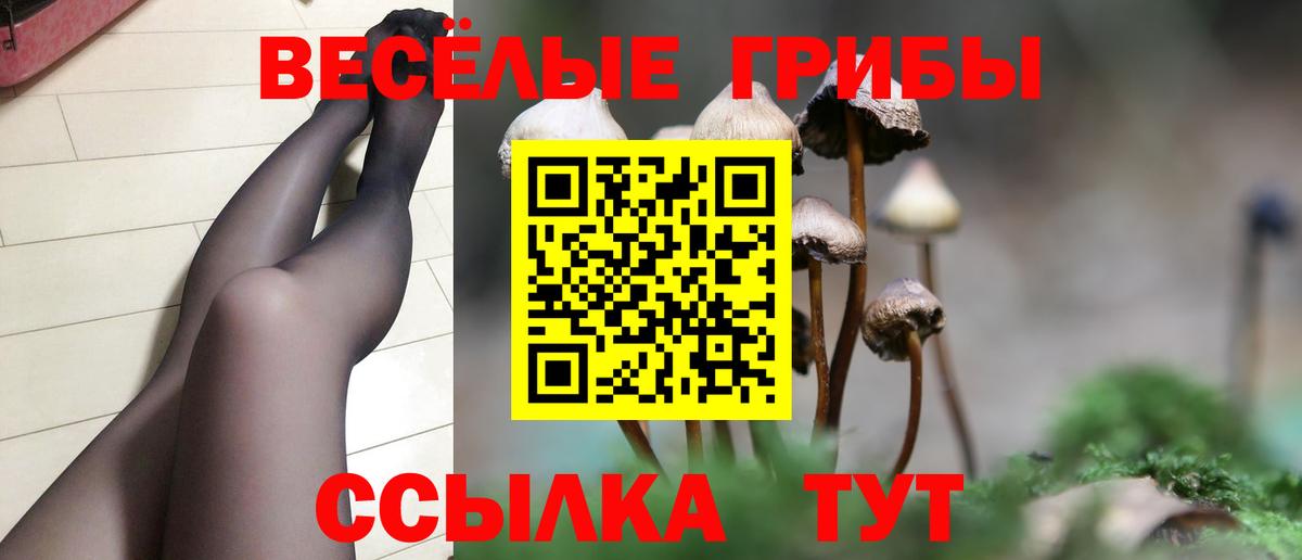 Псилоцибиновые грибы GOLDEN TEACHER Тольятти